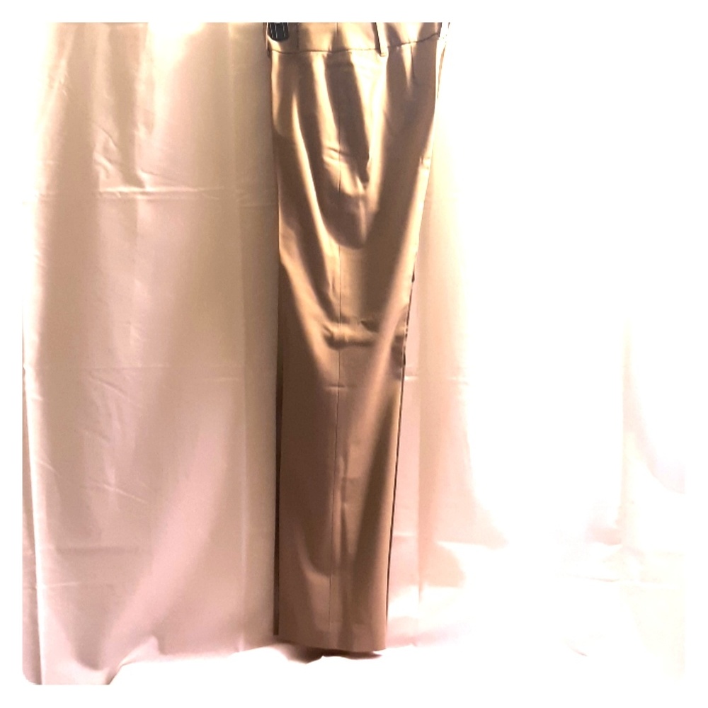 Loft Anne Taylor.  48 % wool. Pants